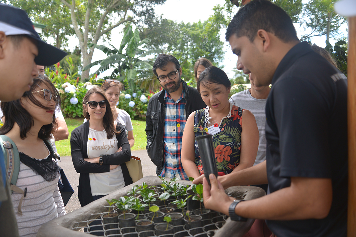 Dispatches from GNW2017 A Visit to the Doka Coffee Estate The